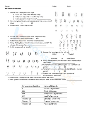 Karyotype Worksheet