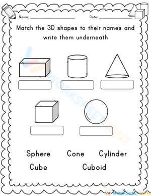 Practice and Reinforce on 3D Shapes