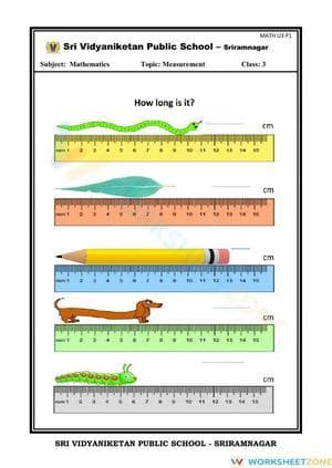 Grade 3 Measuring Length — Printable No-Prep Worksheet