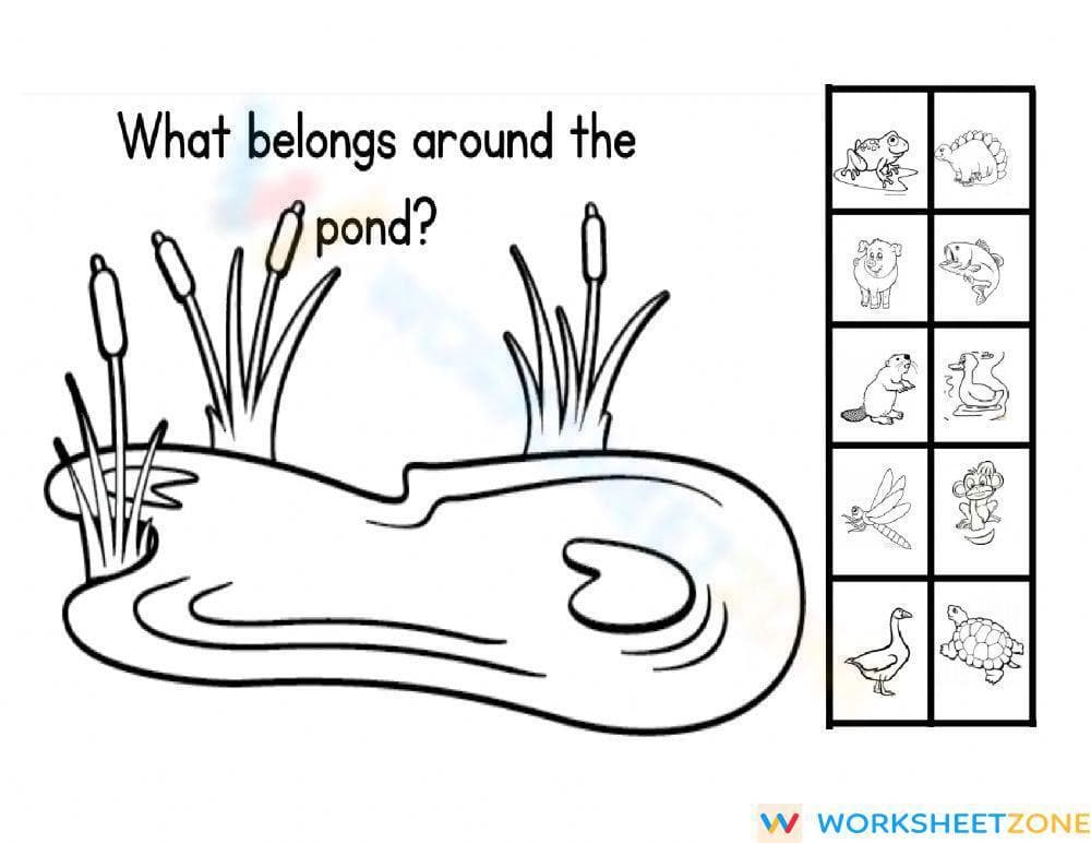 Pond Life Worksheet | Grade K-1 Essential Printable - Page 1