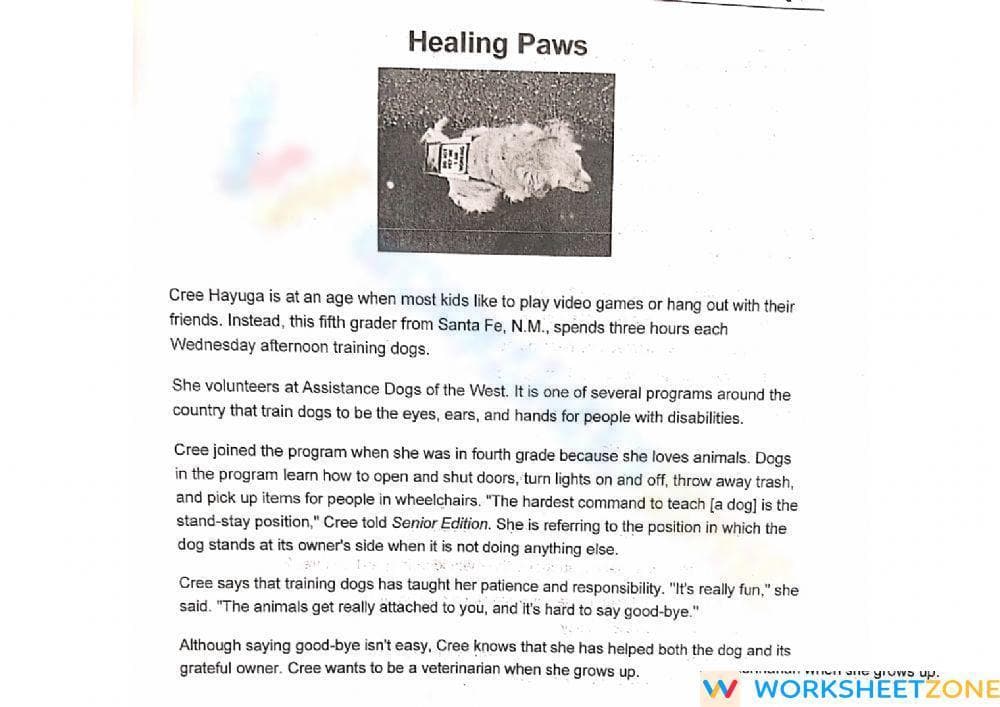 Essential Grade 5 Main Idea Worksheet: Healing Paws - Page 1