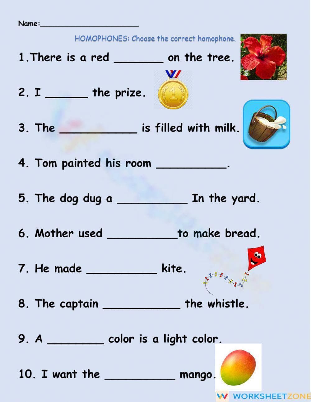 Homophones: Choose the Correct Homophone Worksheet - Page 1