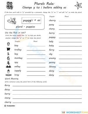 Essential Plurals Rule Worksheet | Grade 3 English
