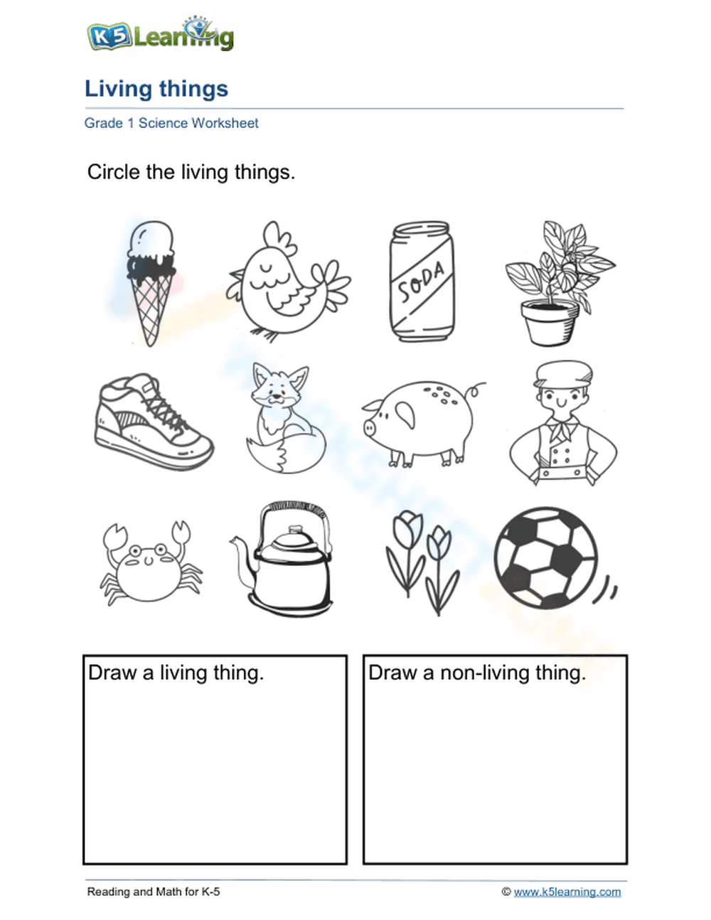Essential Living and Non-Living Things Worksheet | Grade 1 - Page 1