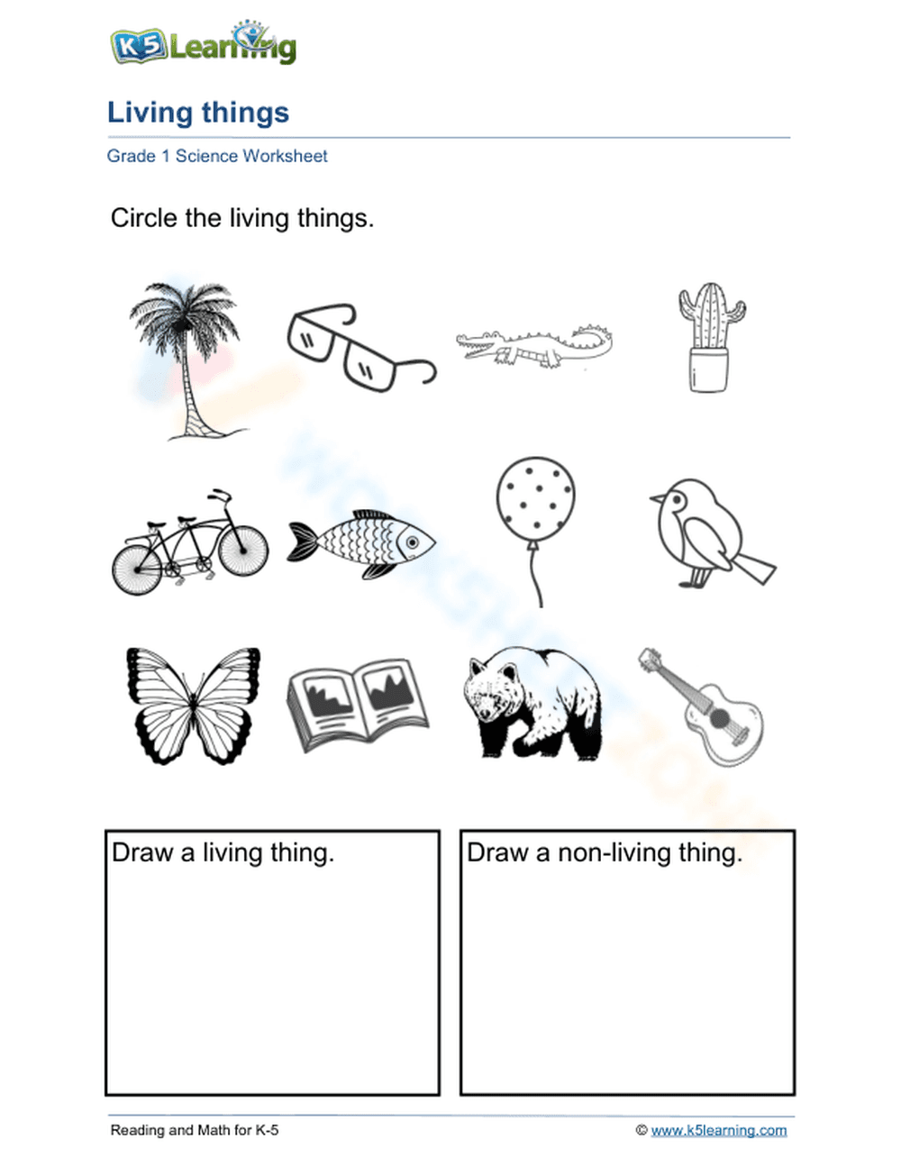 Grade 1 Living Things — Printable No-Prep Worksheet - Page 1