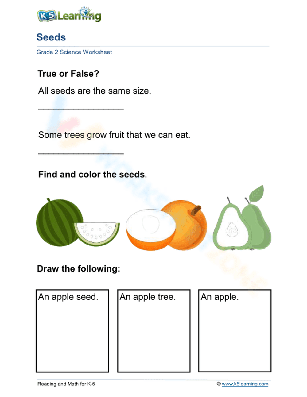 Grade 2 Seeds — Printable No-Prep Worksheet - Page 1