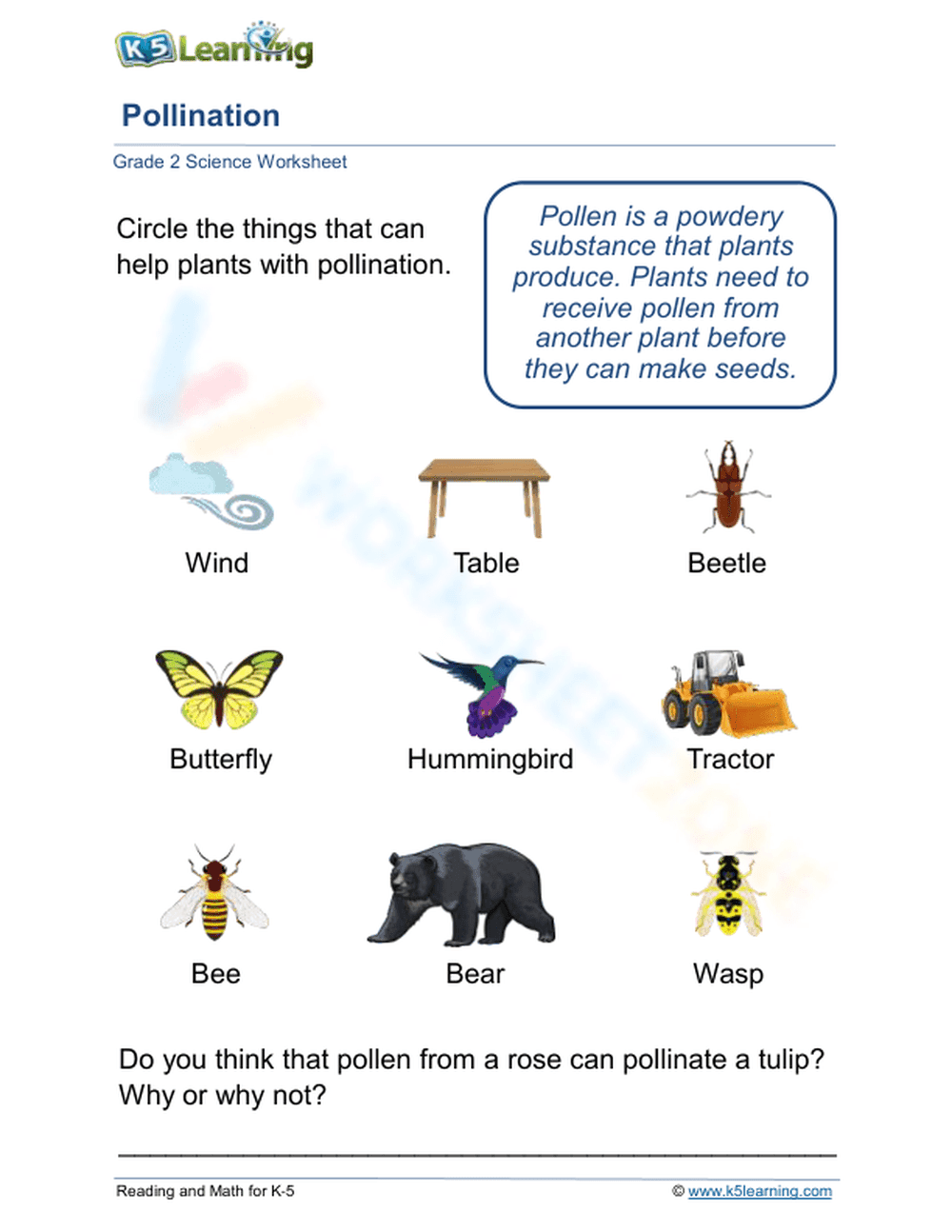 Pollination Worksheet | Grade 2 Living Things Essential - Page 1
