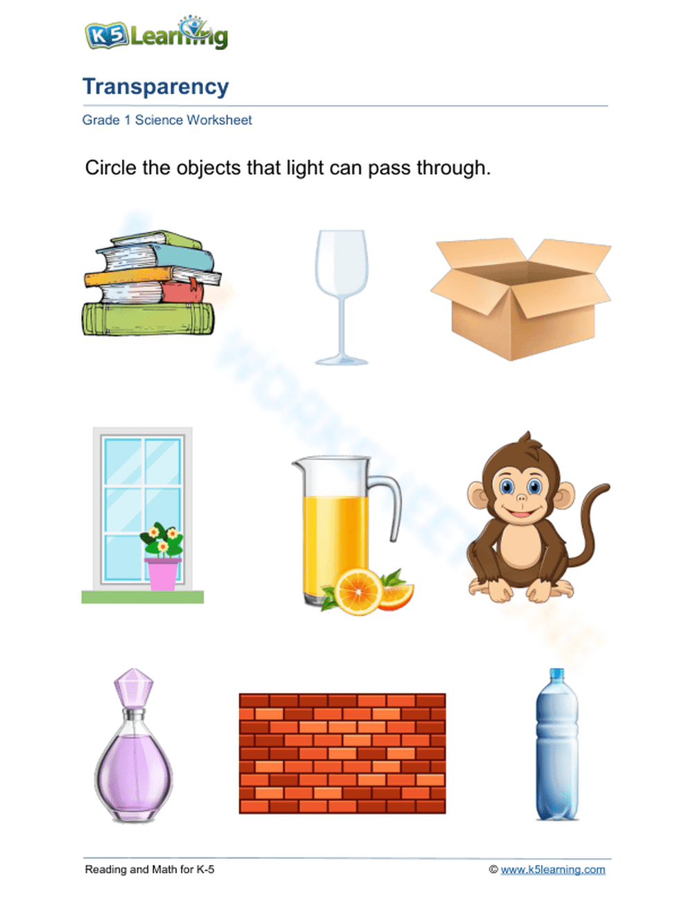 Grade 1 Light & Transparency — Printable No-Prep Worksheet - Page 1