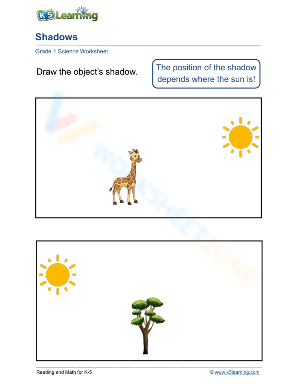 Grade 1 Light & Shadows — Printable No-Prep Worksheet - Page 1