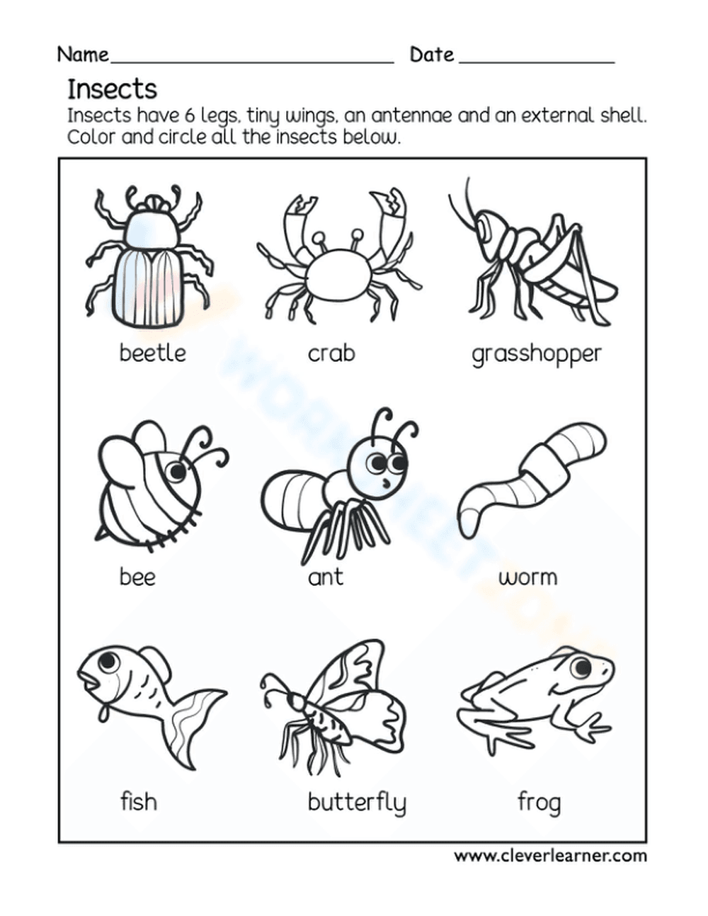 Insects - Page 1