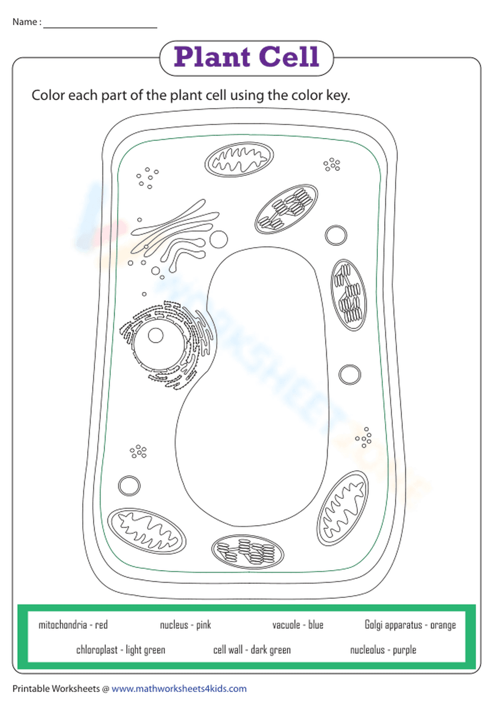 Essential Plant Cell Coloring Worksheet | Grade 4-8 - Page 1