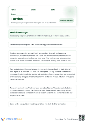 Printable Turtles Reading Comprehension Worksheet | Grade 3