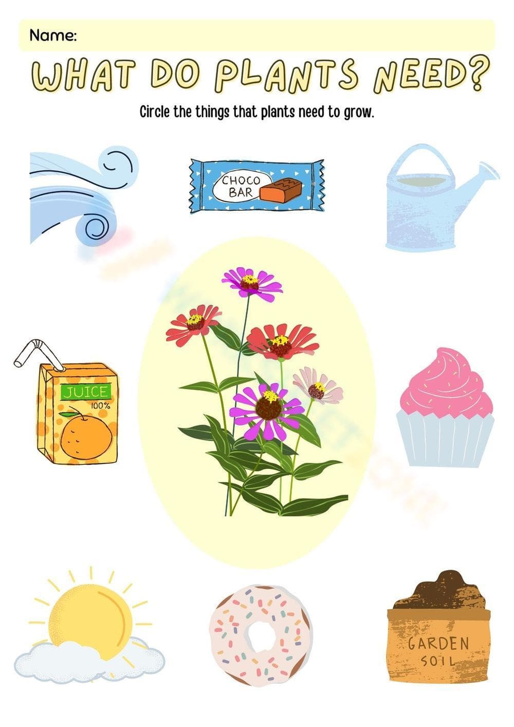 Name: - Page 1