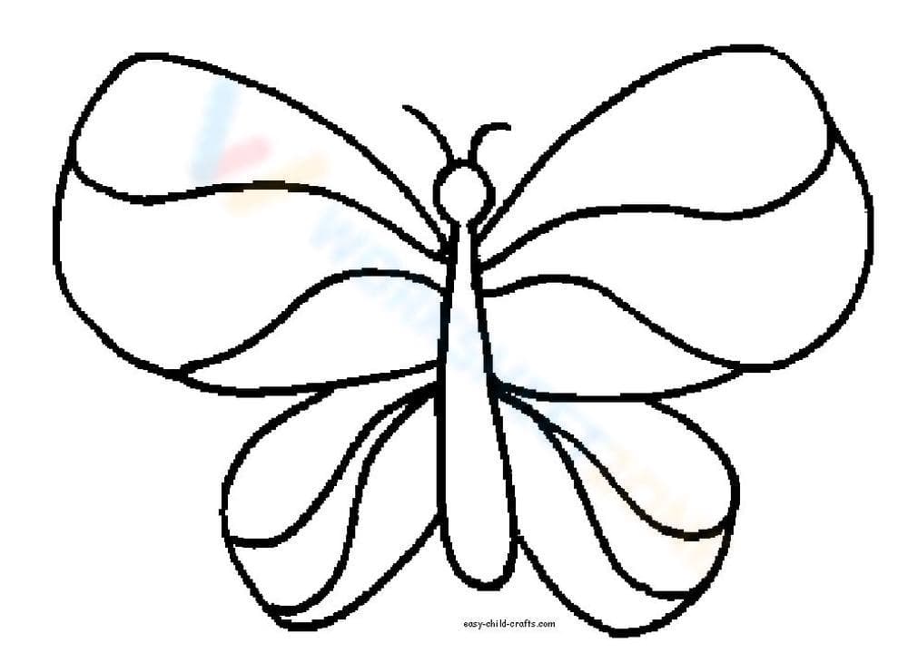 Explore a Butterfly - Page 1