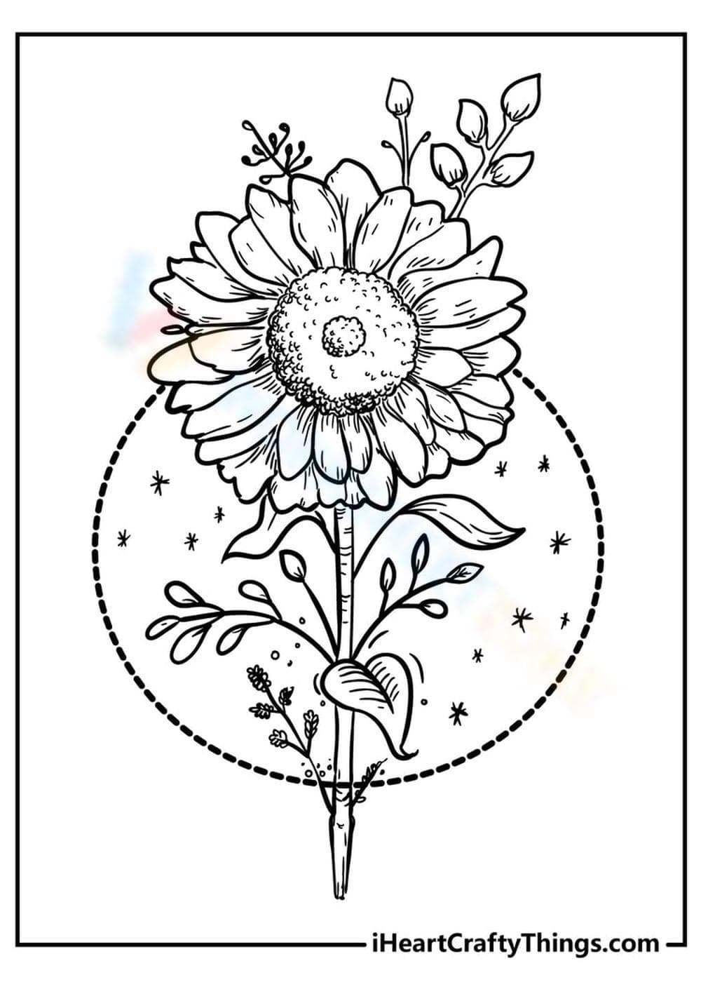 Sunflower - Page 1
