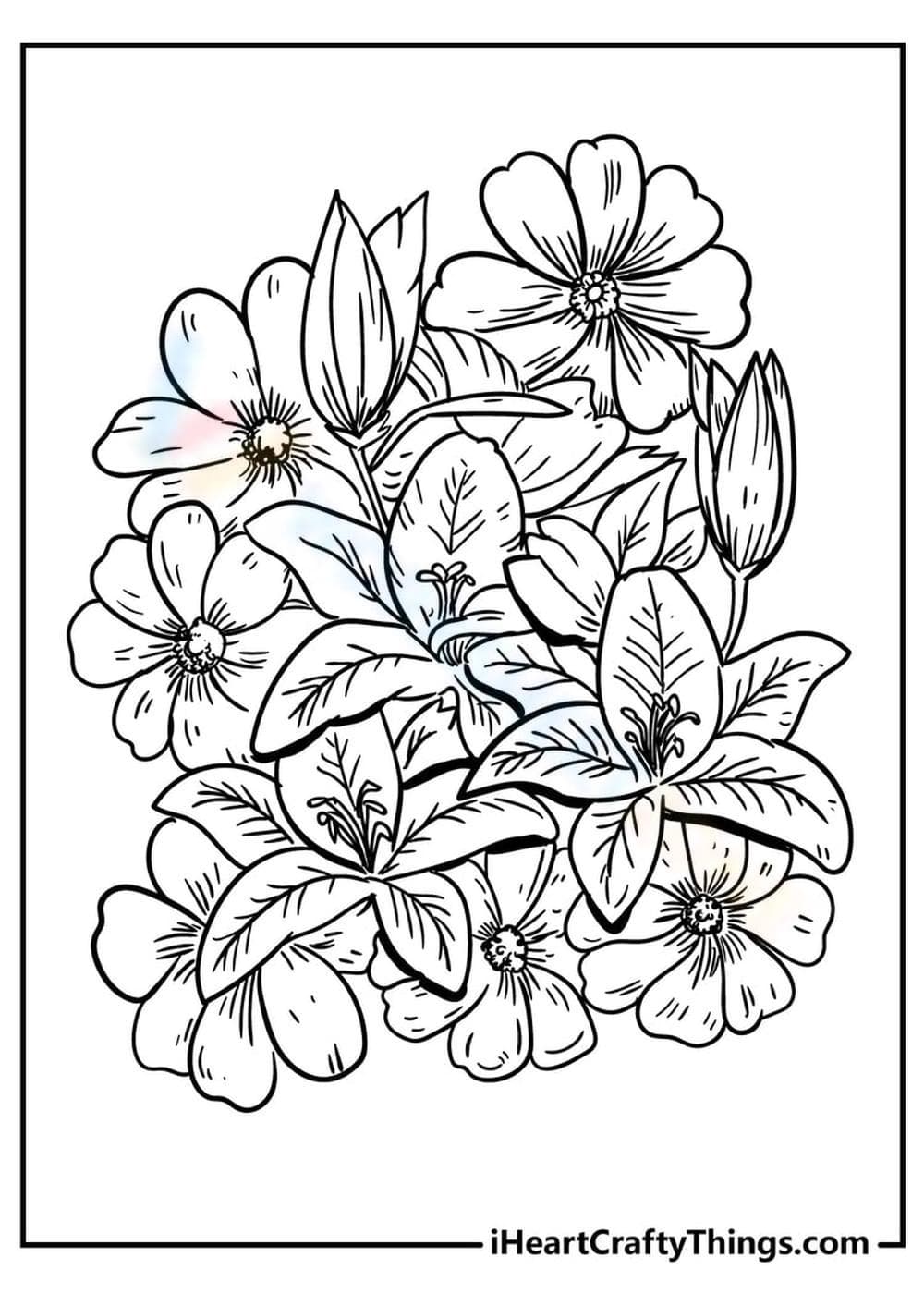 Lilies - Page 1