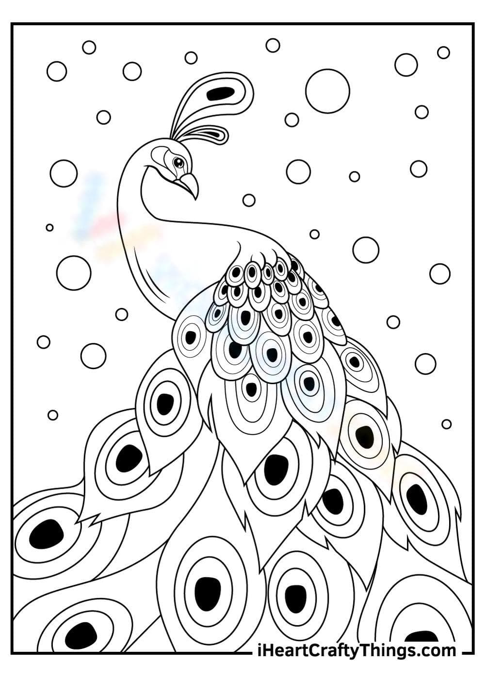 Peacock Art Worksheet: Learn About Birds - Page 1