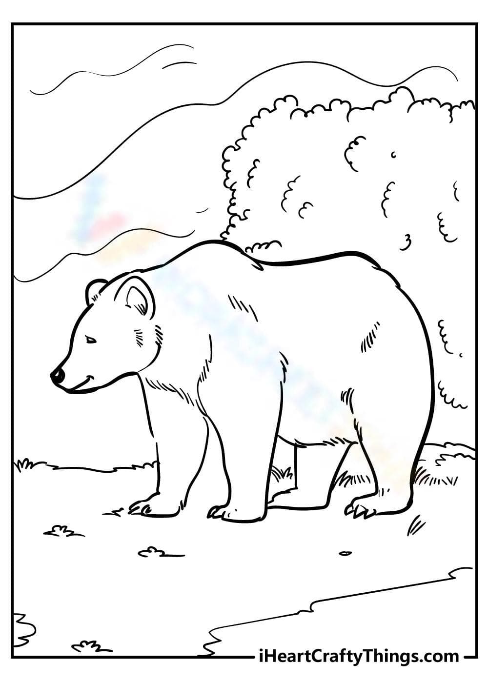 Bear - Page 1