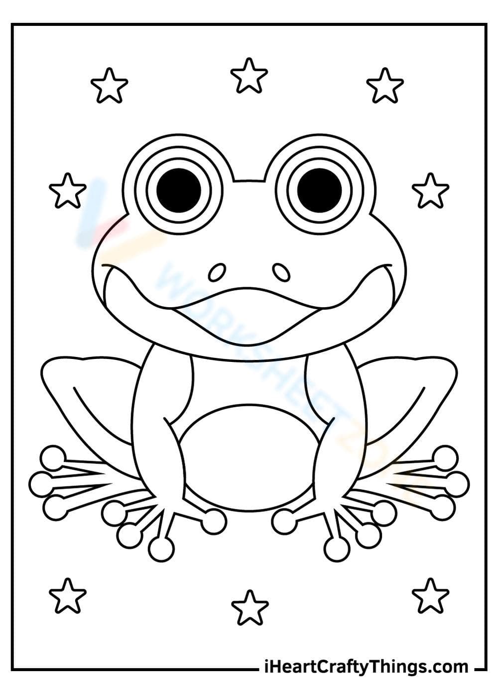 Explore A Frog in Nature - Page 1