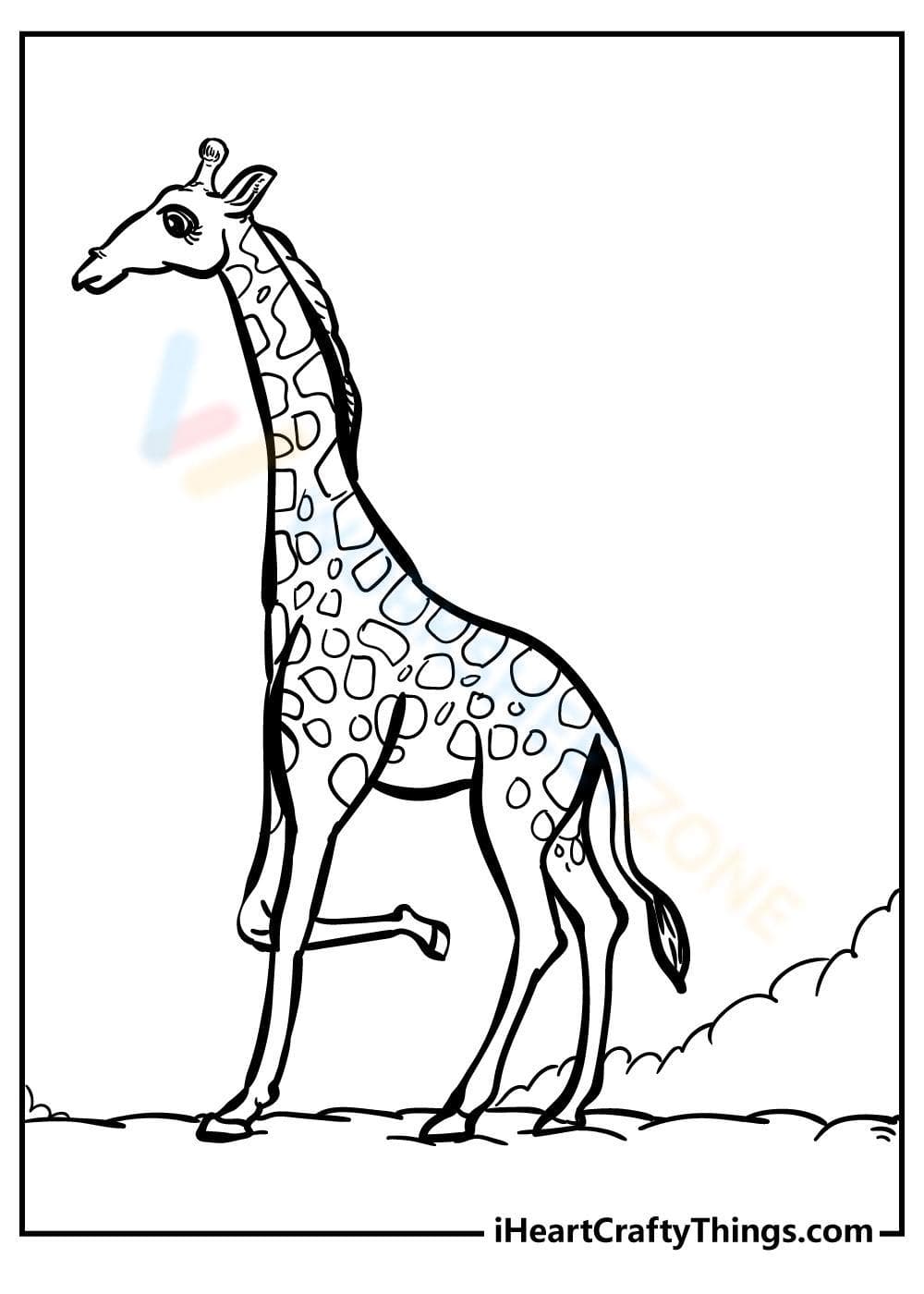 Giraffe Photo Exploration Worksheet - Page 1