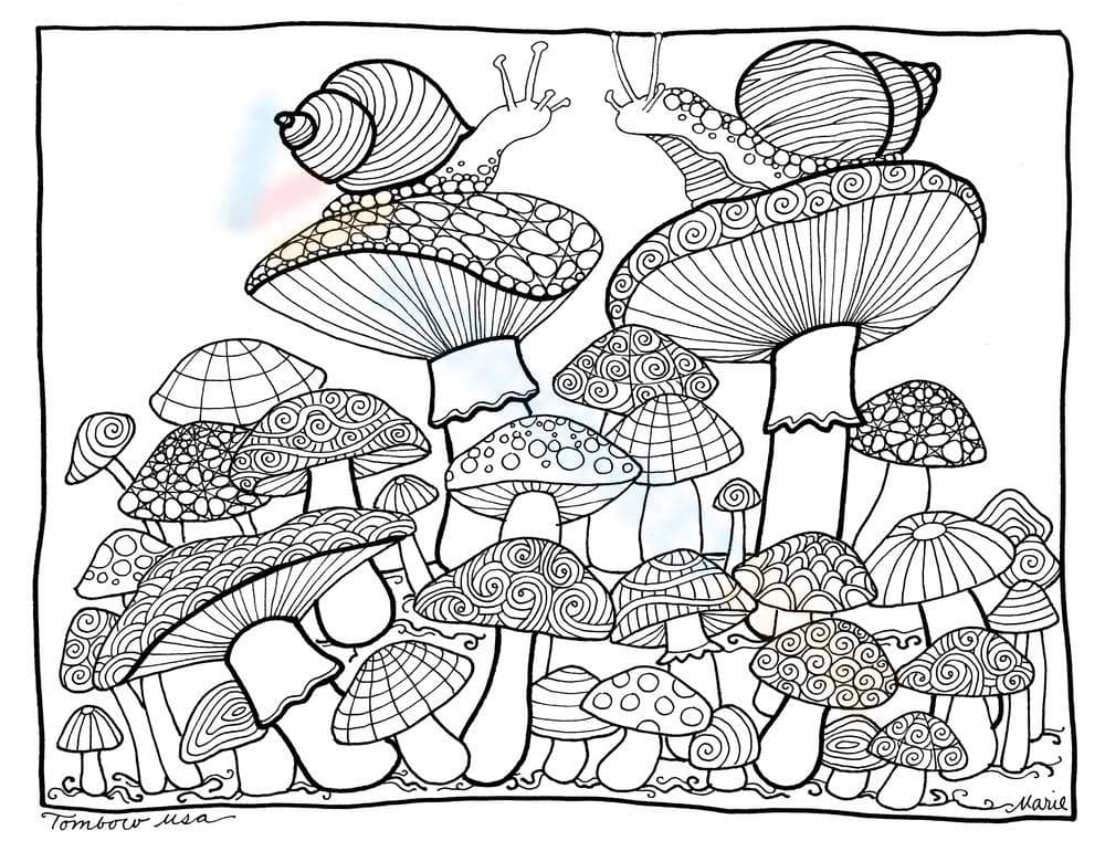 Mushrooms - Page 1