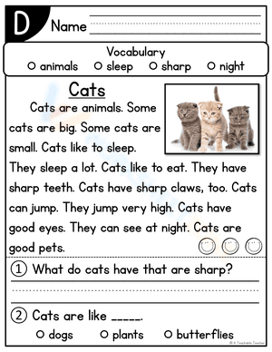 Descriptive Writing: Cats Worksheet