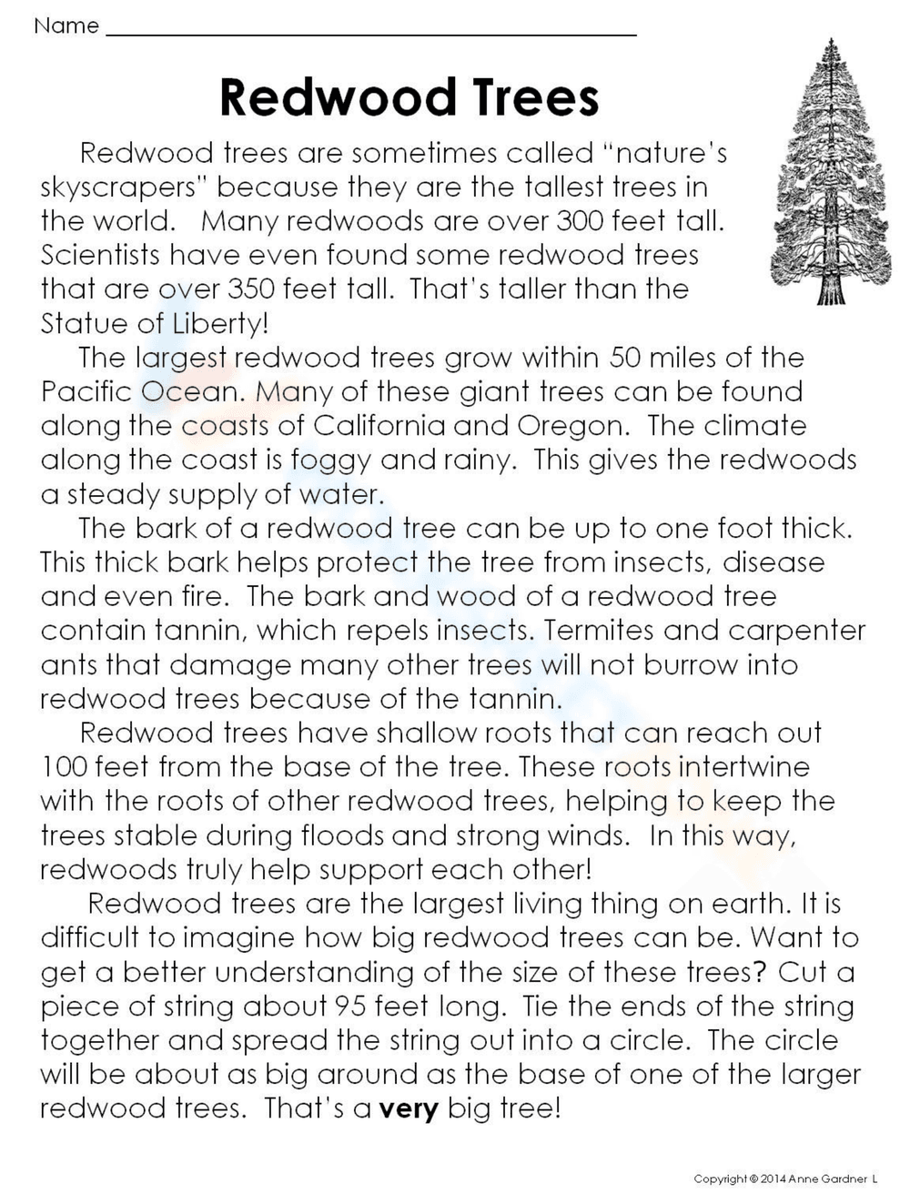Redwood Tree Facts: Learn About Giant Redwoods - Page 1