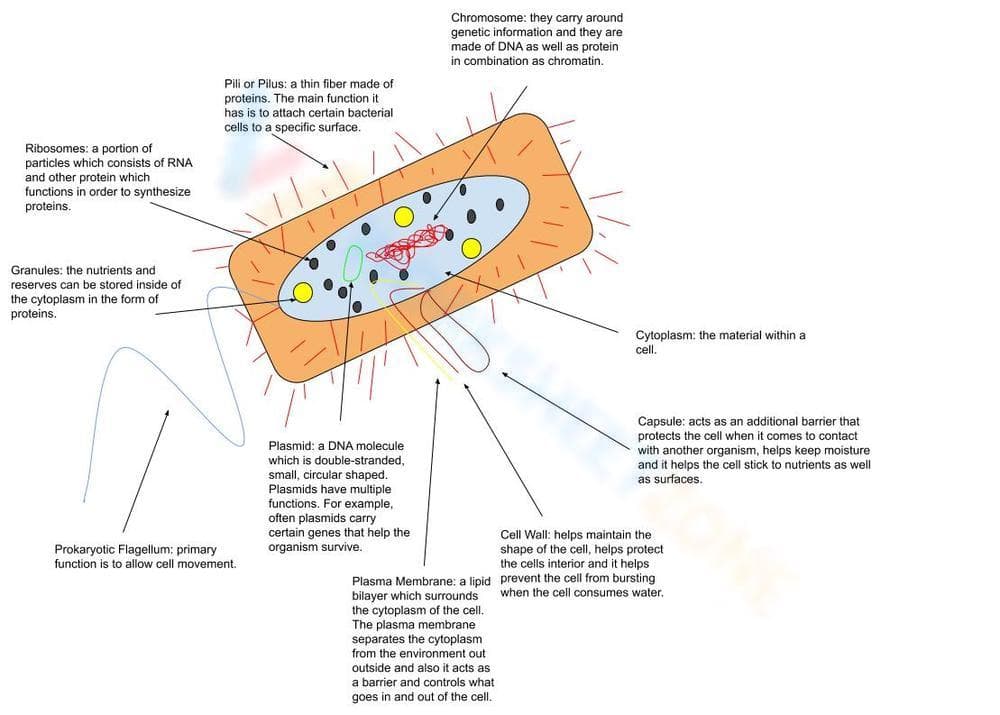 Genome - Page 1