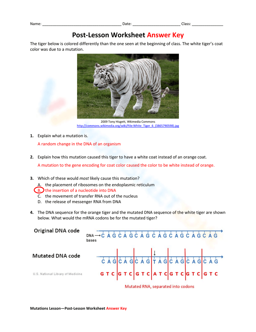 Mutations - Page 1