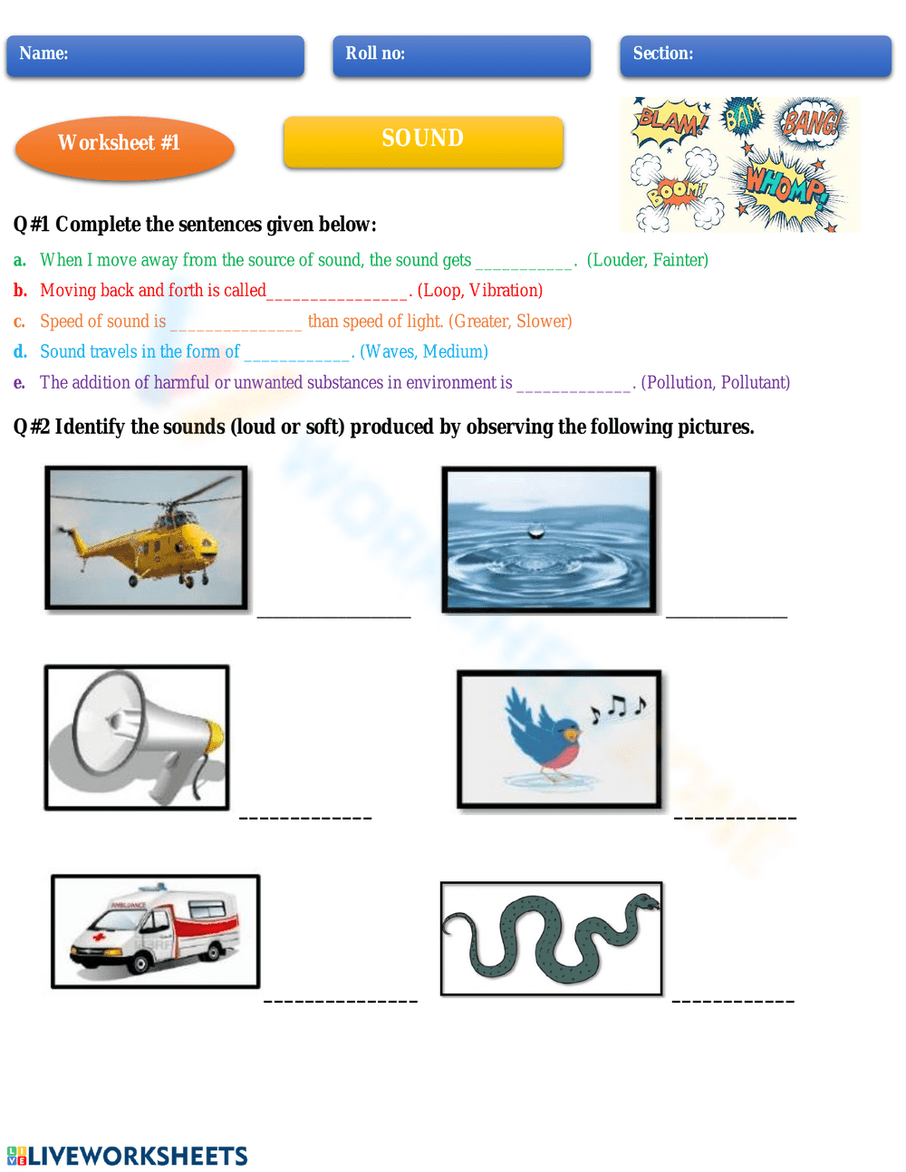 Sound and Skeletal System Worksheet - Page 1