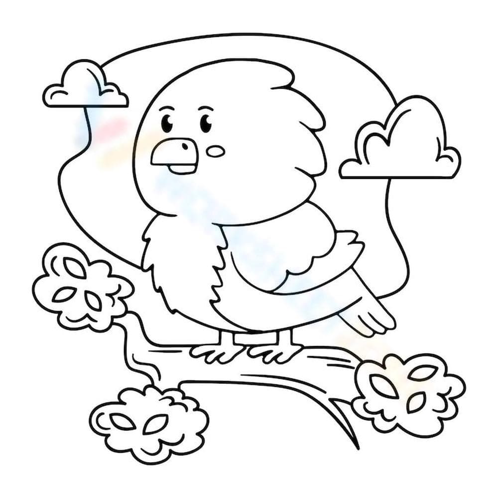 Bird Illustration: Learn about Bird Species Worksheet - Page 1