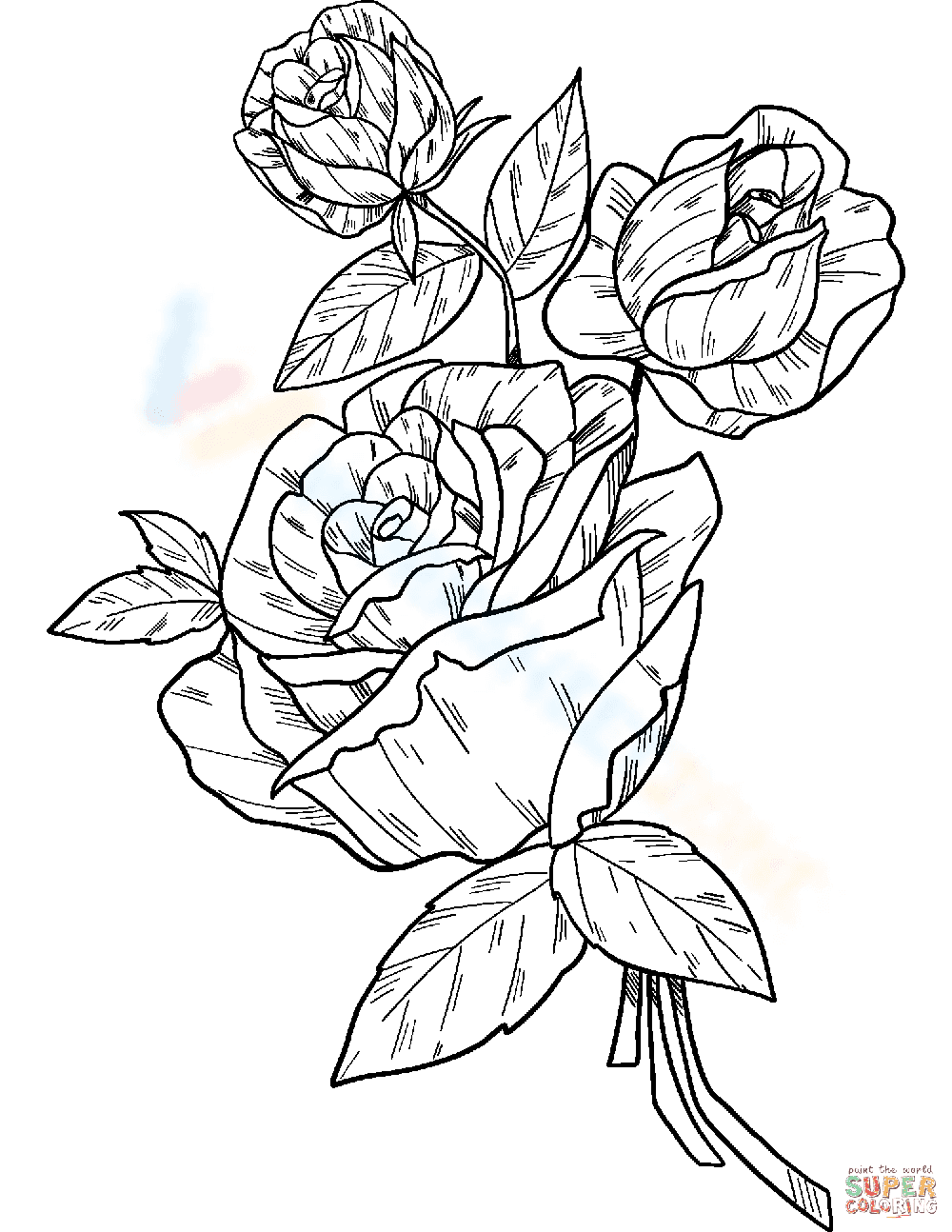 Roses Coloring Page - Page 1