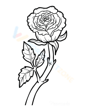 Botanical Rose Coloring Page | Essential Grade K-5