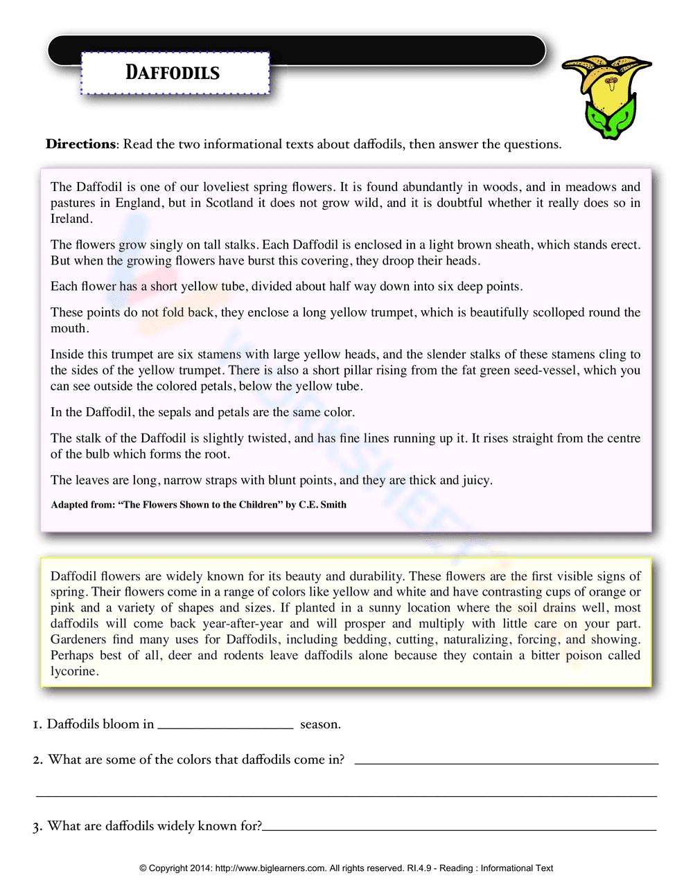 Daffodils - Page 1