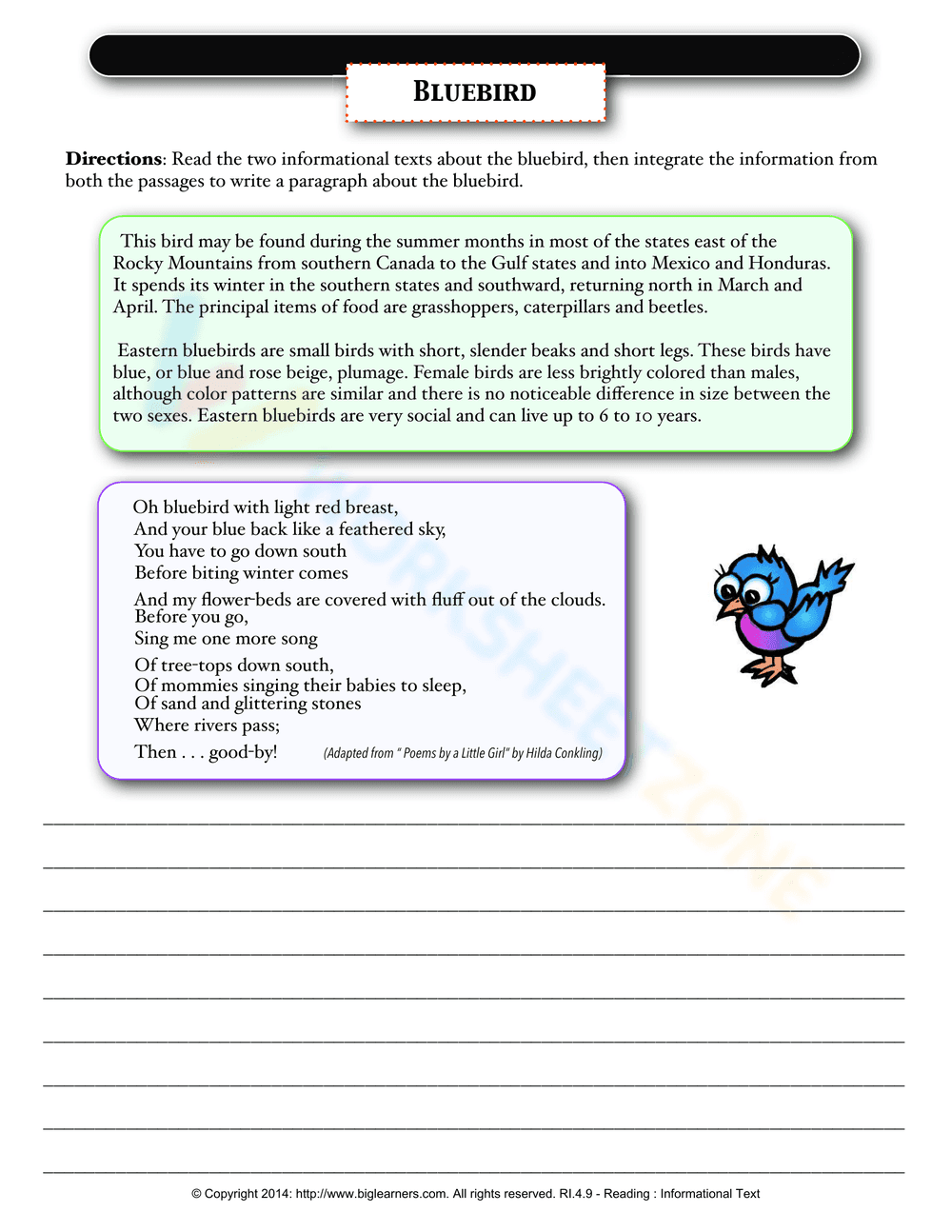 Bluebird - Page 1