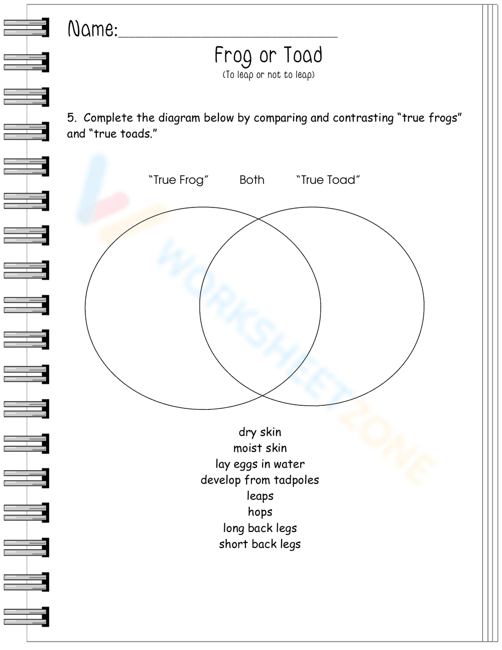 Frog or Toad: Identifying Differences Worksheet - Page 1