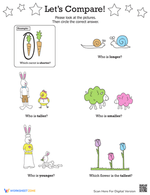 Compare Worksheet