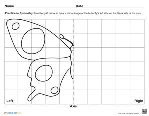 Identifying Symmetry Worksheet