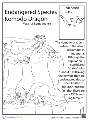 All About Komodo Dragon