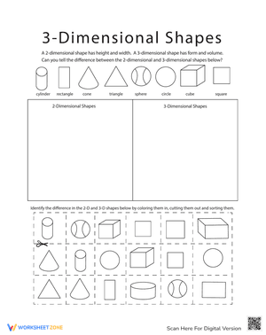 Identify 2D and 3D Shapes Worksheet