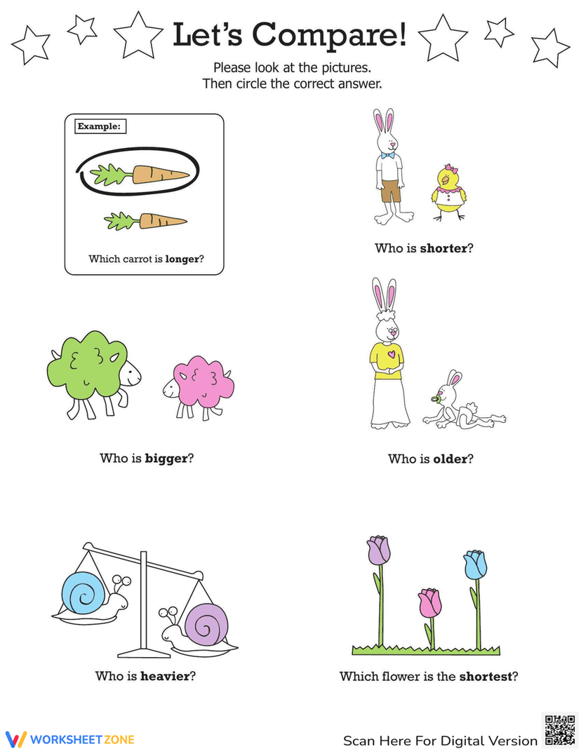 Compare Quantities Worksheet
