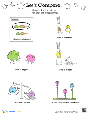 Compare Quantities Worksheet