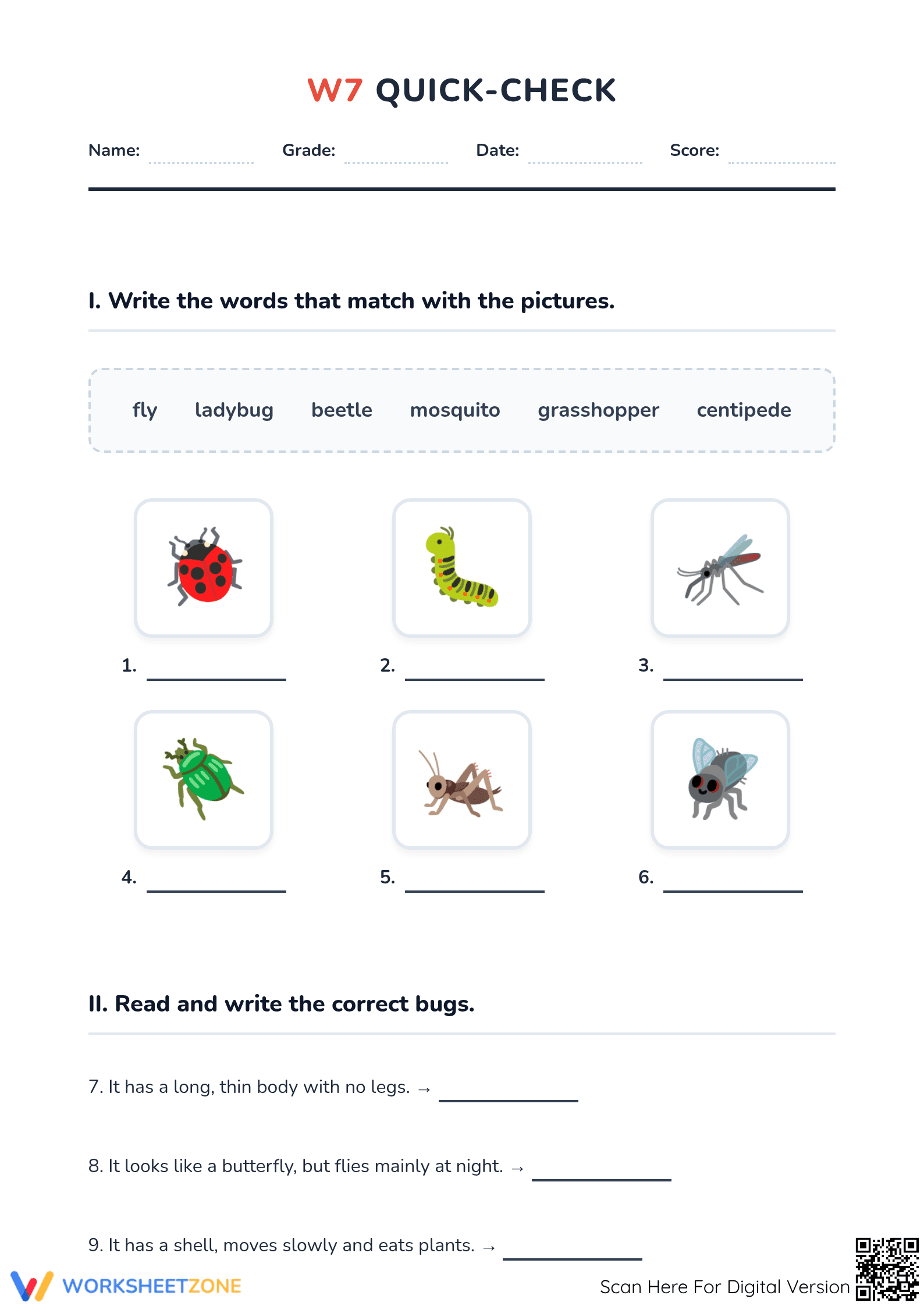 Grade 5 Insect Vocabulary & Grammar — Printable Quick-Check - Page 1