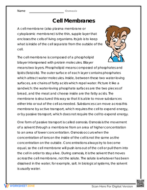 Cell Membranes Worksheet for Biology Students