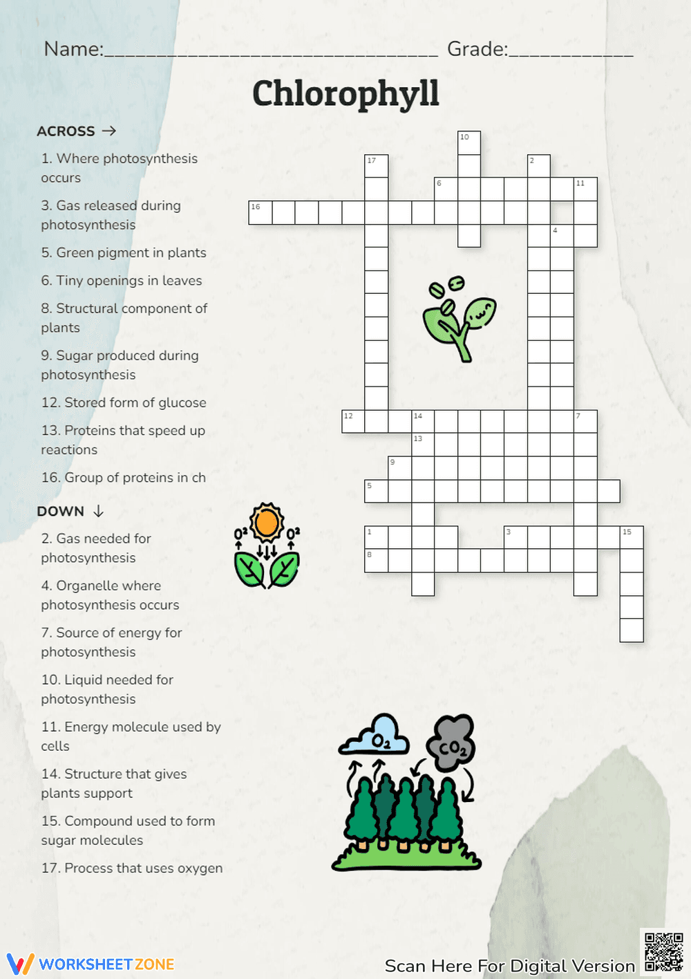 Explore Chlorophyll: The Green Pigment in Plants - Page 1