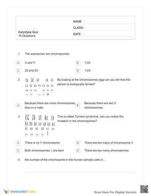 Analyze Karyotypes with This Quiz Worksheet