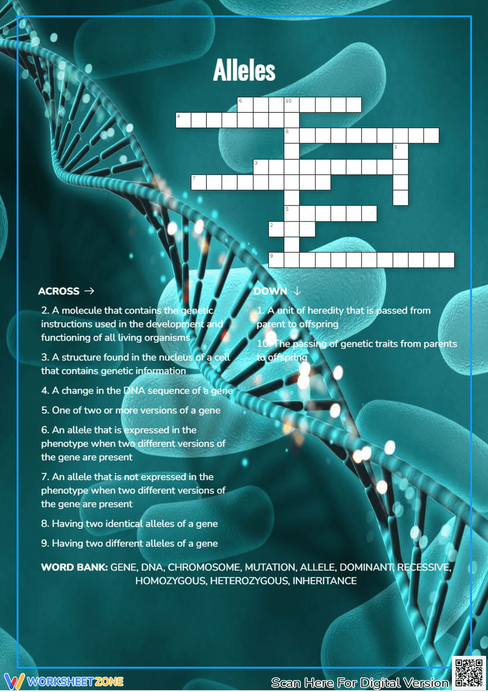 Alleles Crossword Puzzle | Essential Grade 6 Science - Page 1