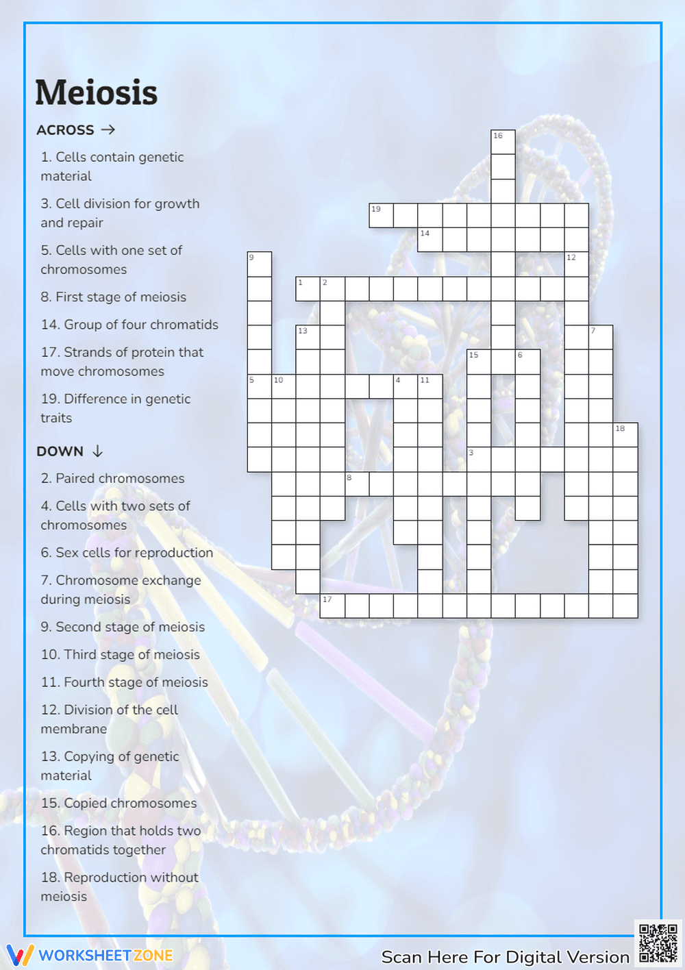 Meiosis Crossword Puzzle - Page 1