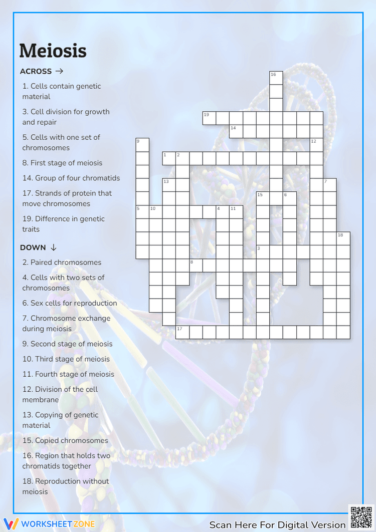 Meiosis Crossword Puzzle Worksheets
