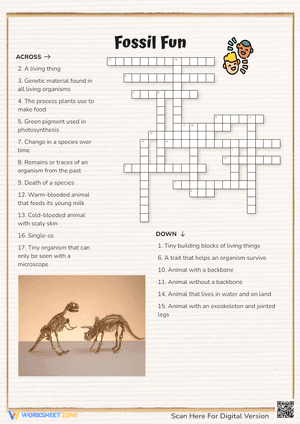 Printable Fossil Crossword Puzzle | Grade 3 Science